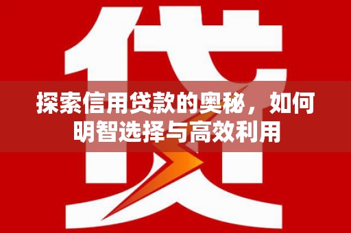 进贤探索信用贷款的奥秘，如何明智选择与高效利用
