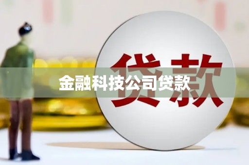 进贤金融科技公司贷款