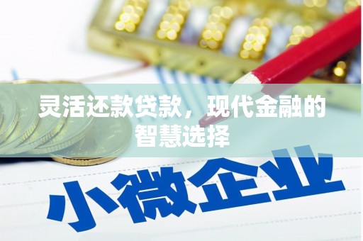 进贤灵活还款贷款，现代金融的智慧选择