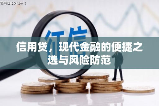 进贤信用贷，现代金融的便捷之选与风险防范