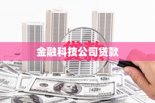 进贤金融科技公司贷款