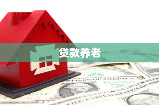 进贤贷款养老