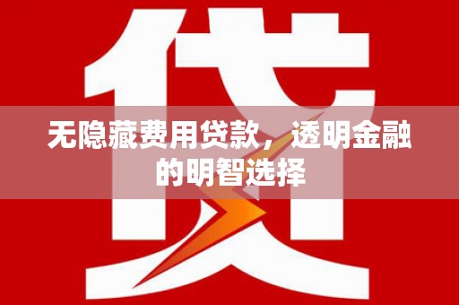 进贤无隐藏费用贷款，透明金融的明智选择