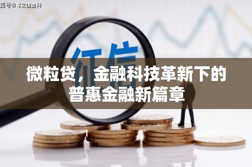 进贤微粒贷，金融科技革新下的普惠金融新篇章