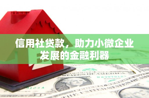 进贤信用社贷款，助力小微企业发展的金融利器