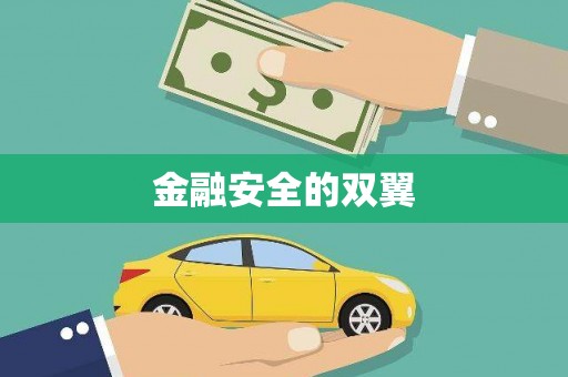 进贤金融安全的双翼