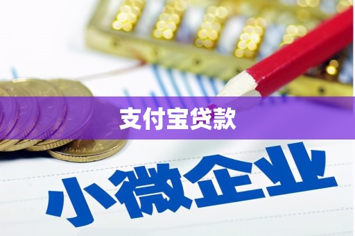进贤支付宝贷款