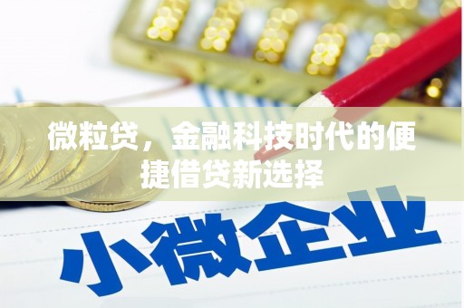 进贤微粒贷，金融科技时代的便捷借贷新选择