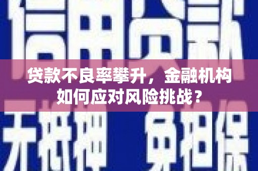 进贤贷款不良率攀升，金融机构如何应对风险挑战？