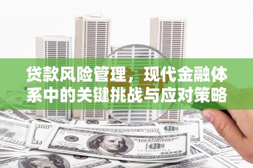 进贤贷款风险管理，现代金融体系中的关键挑战与应对策略