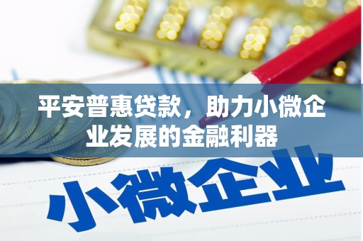进贤平安普惠贷款，助力小微企业发展的金融利器