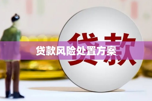 进贤贷款风险处置方案
