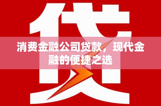 进贤消费金融公司贷款，现代金融的便捷之选