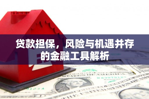 进贤贷款担保，风险与机遇并存的金融工具解析