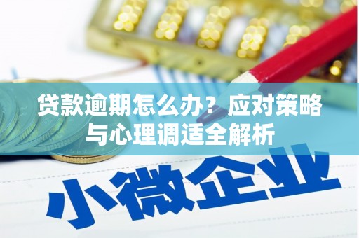 进贤贷款逾期怎么办？应对策略与心理调适全解析