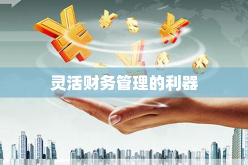 进贤灵活财务管理的利器