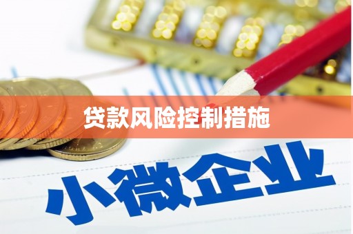 进贤贷款风险控制措施