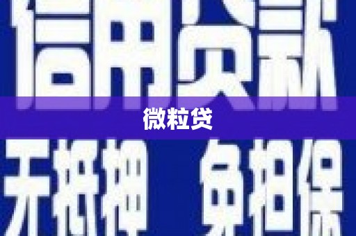 进贤微粒贷