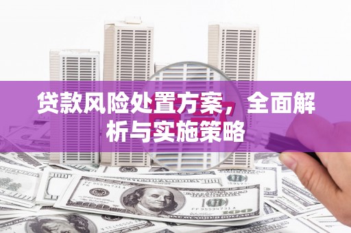 进贤贷款风险处置方案，全面解析与实施策略